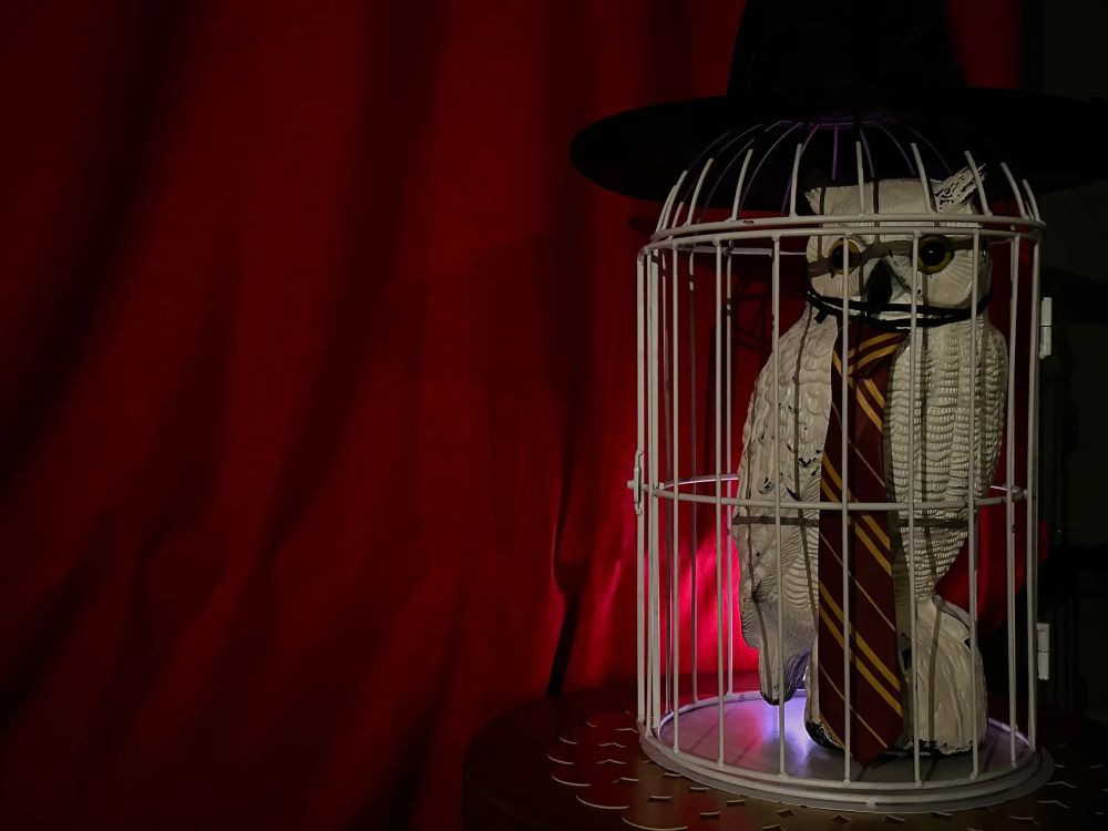 Escape room Tajemnicza Komnata - Zdjęcie 3/5